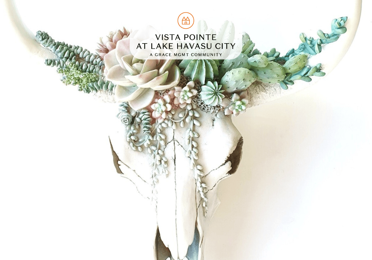 May Event Images - Vista Pointe at Lake Havasu City cow skull with cactus on it